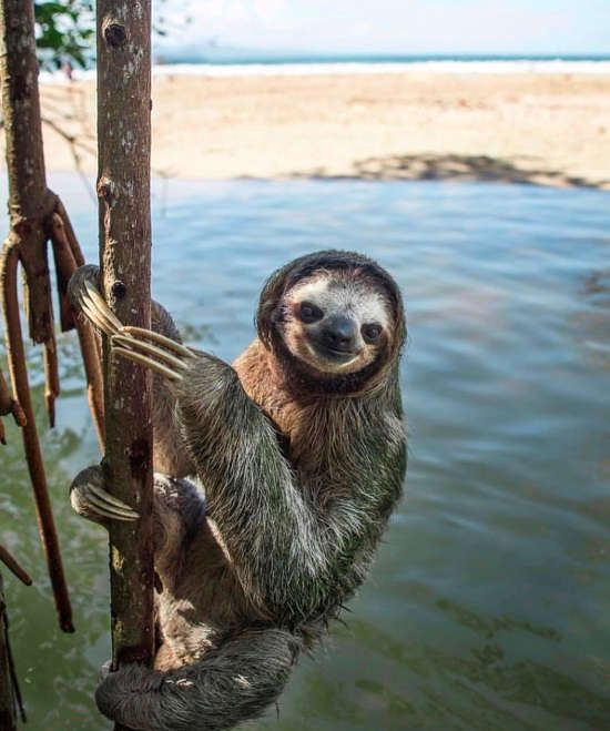 Pic shared by Travelers